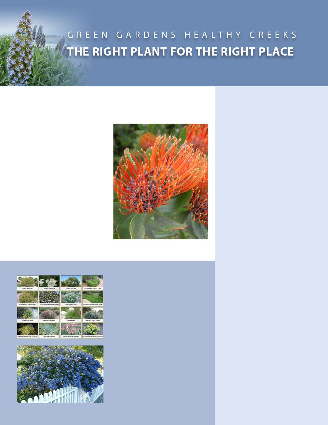 RightPlant1