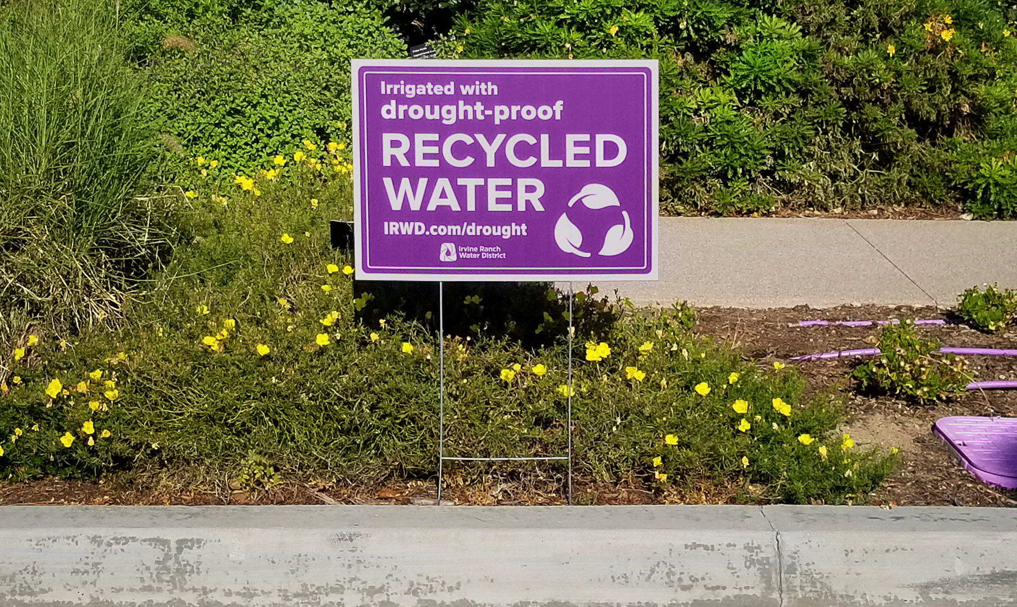 Recycled Water Sign Cropped 20220718 2K 082649