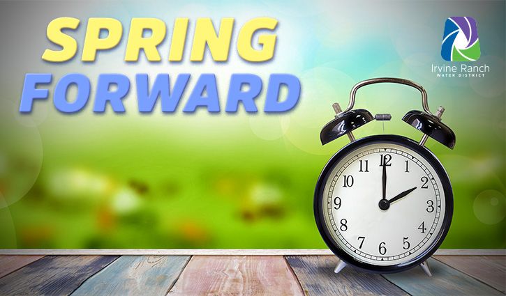 725x425 2019 Spring Forward