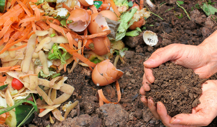 Compost Pile