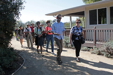 wetland walk ian swift