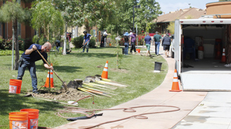 Shadetree%20UCI%20planting Intro