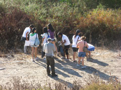 Creek Cleanup