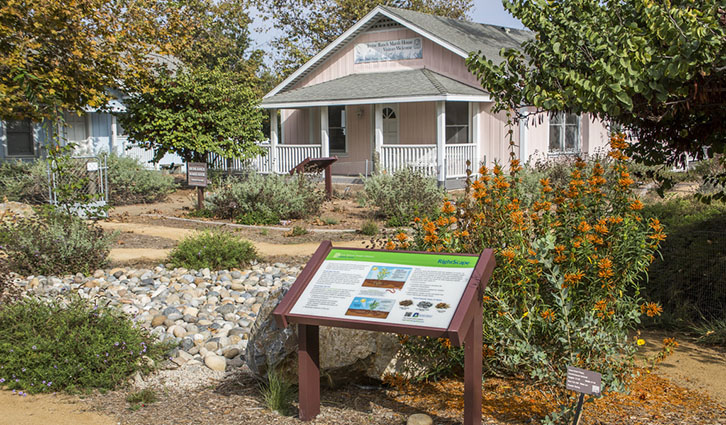 726x425 2018 Pink House San Joaquin Marsh