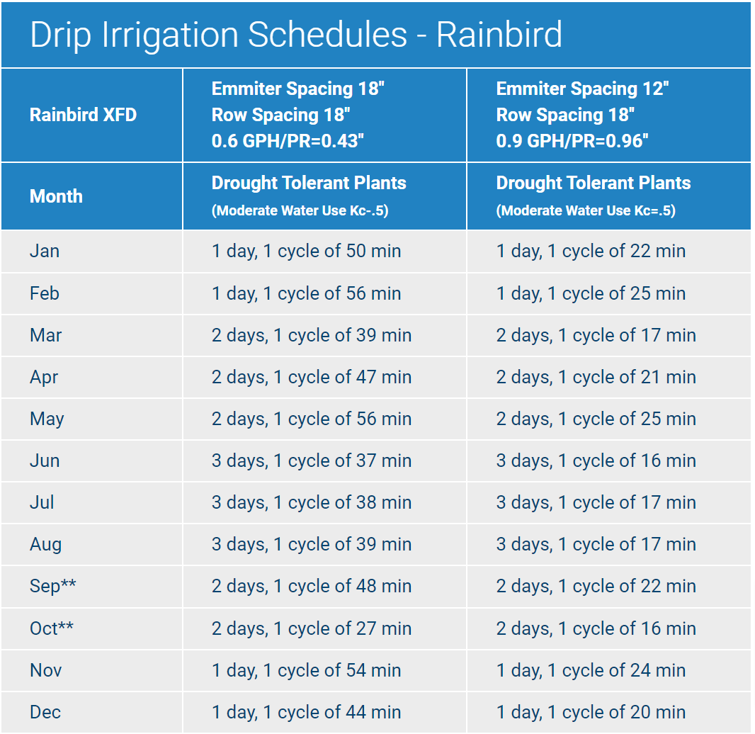 drip rainbird